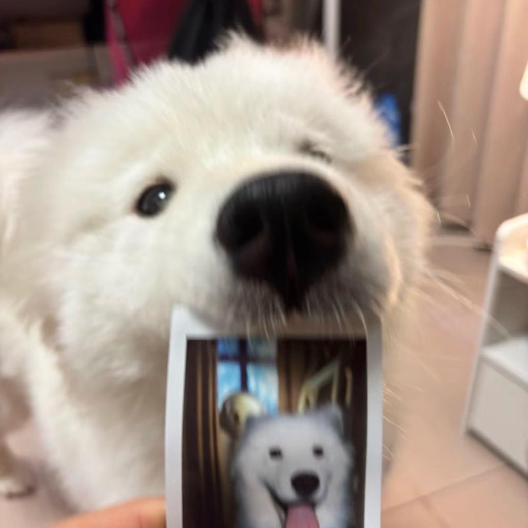雾都