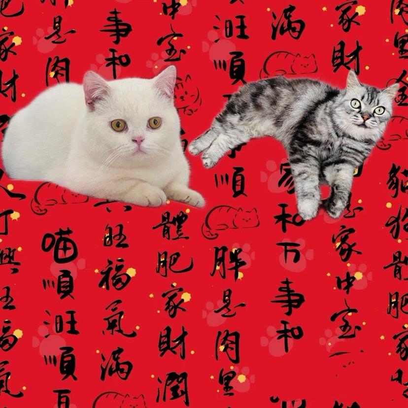 meng