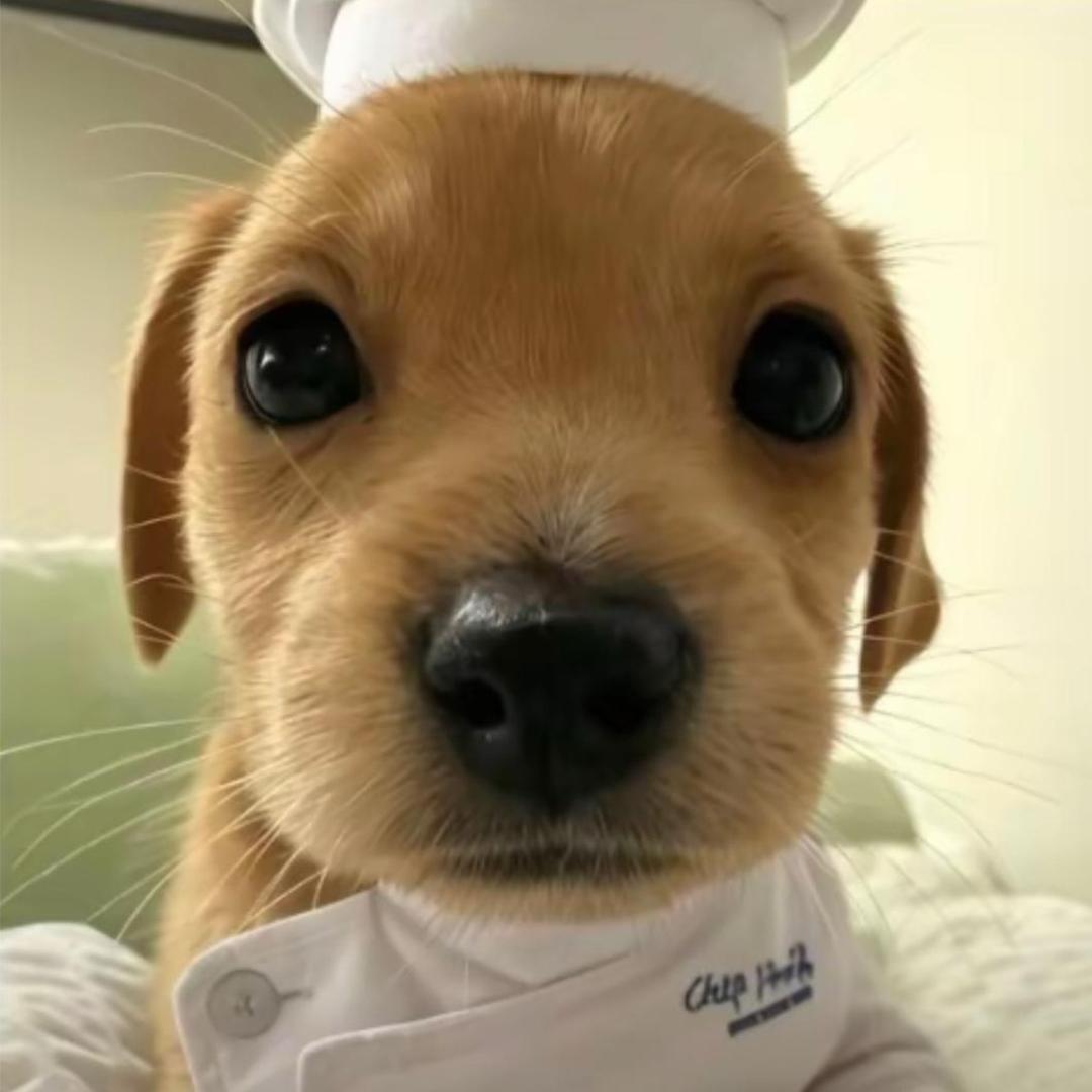 小P
