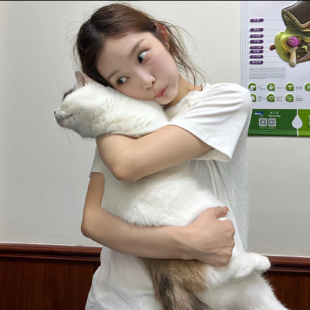 苹什猫