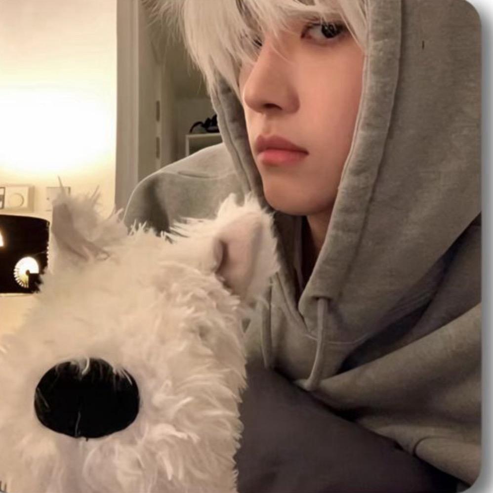 我应该送你花的