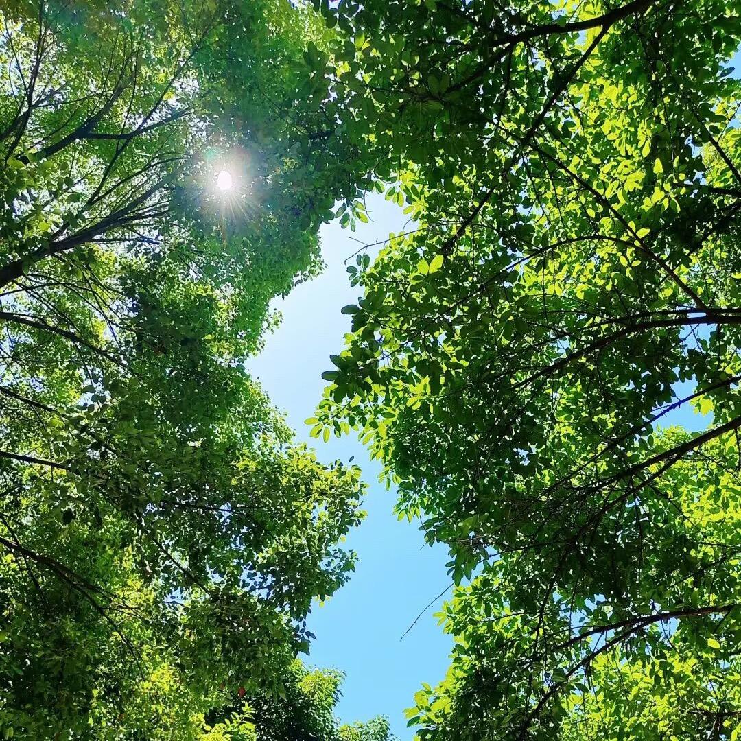 温教授讲座