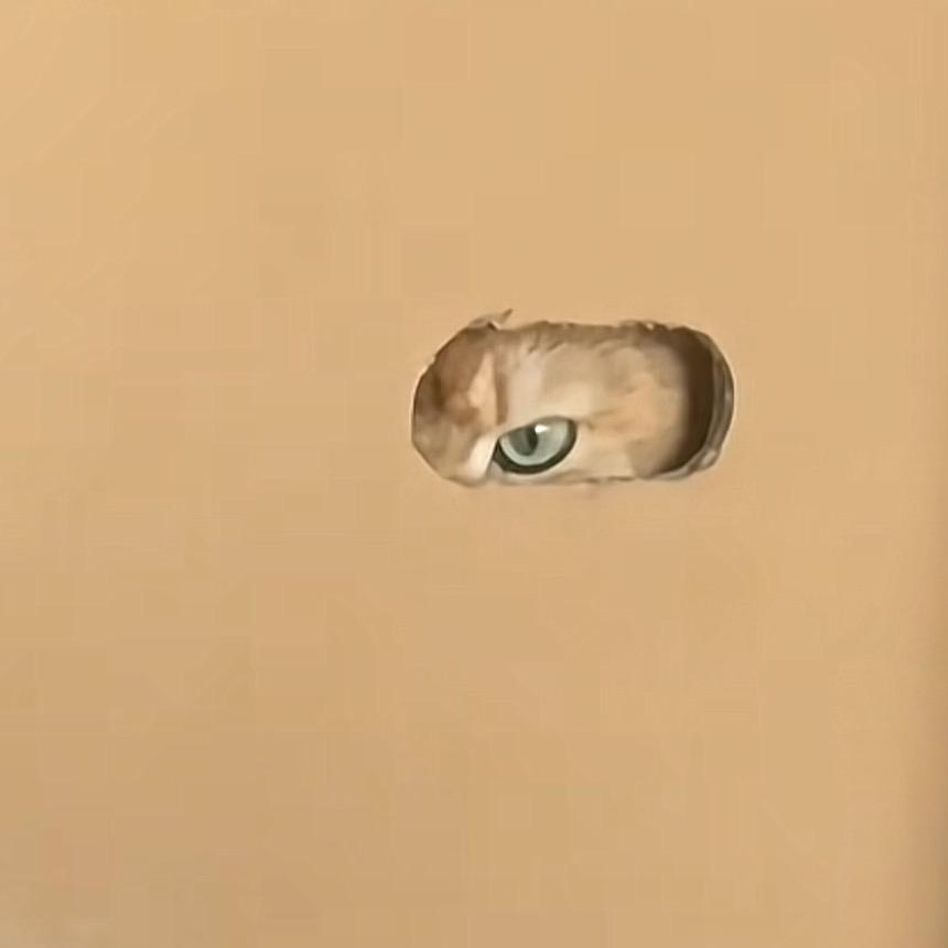 宁静。