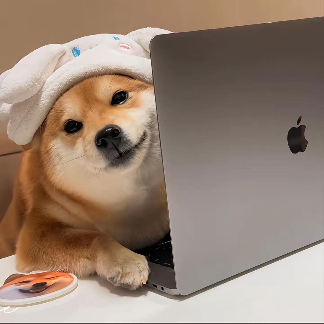 西咸新区风尚衣阁