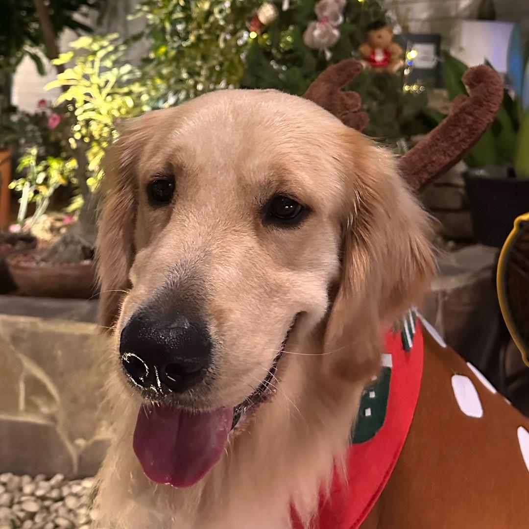 RJ要幸福呀(*•̀ᴗ•́*)و ̑̑