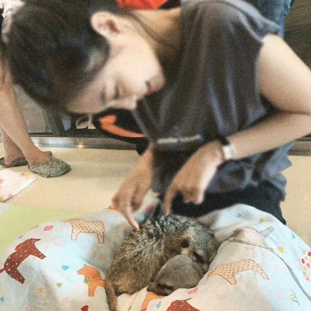 木与同工作室