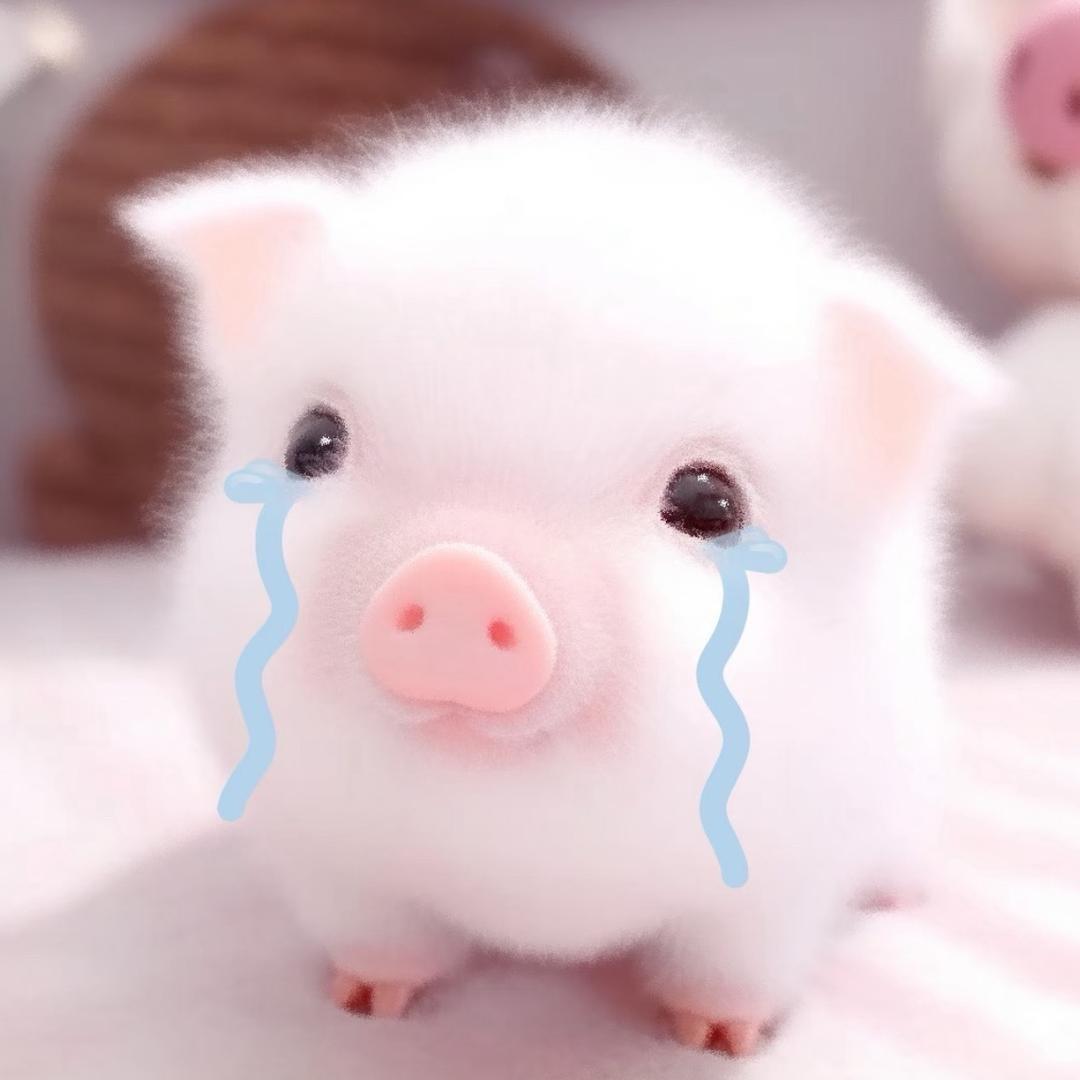 小薯条