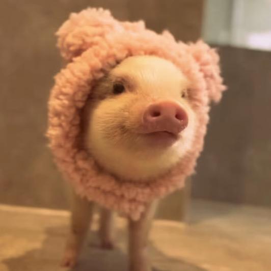 ￴ 天塌了就当被子盖