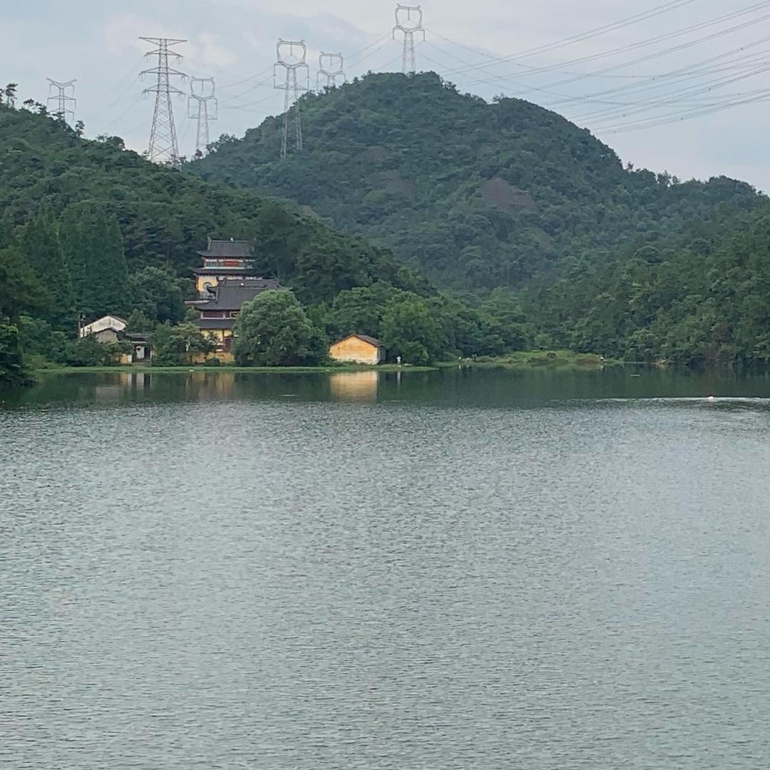 $飞龙
