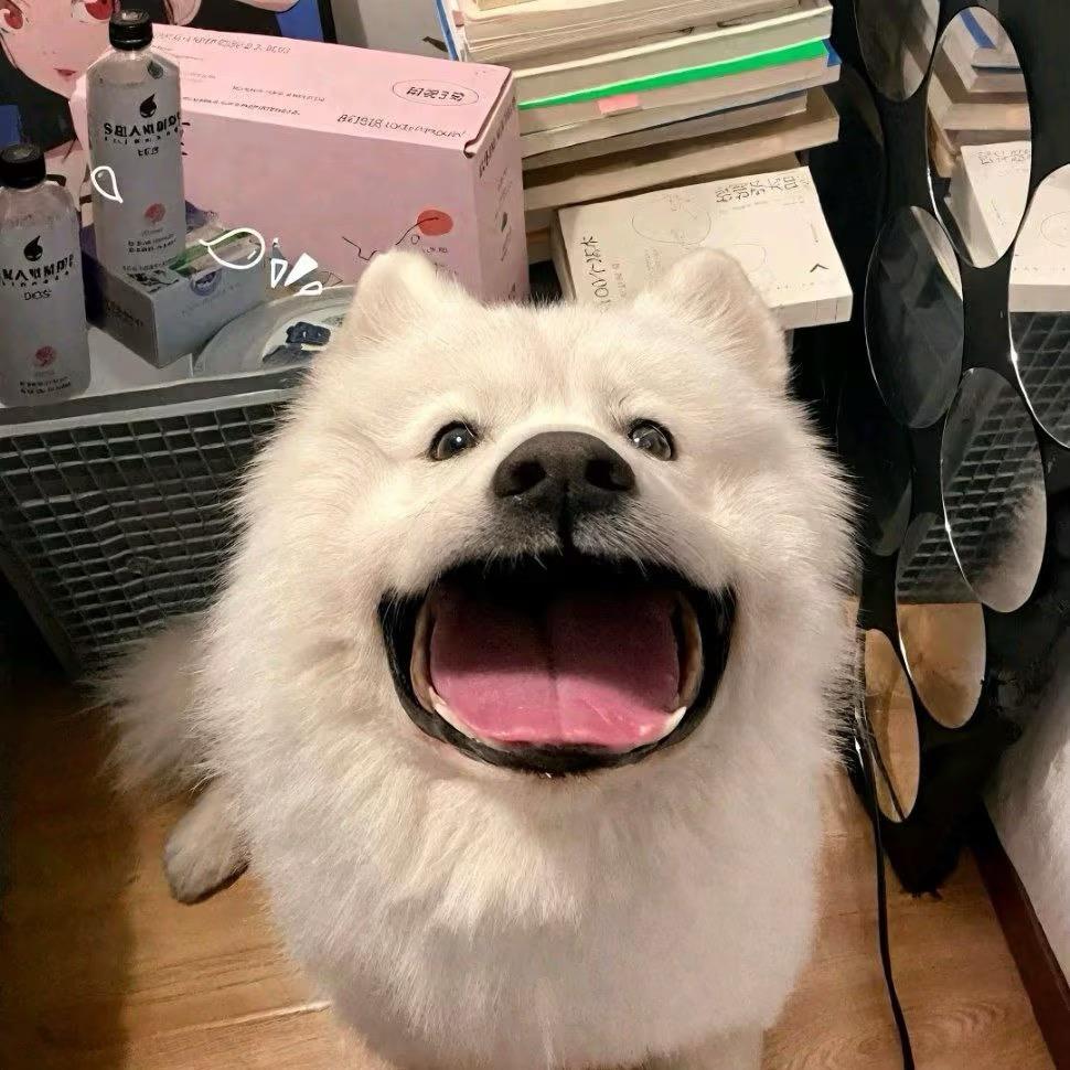 🍝🍣🍤🍥🍡🥧🍮