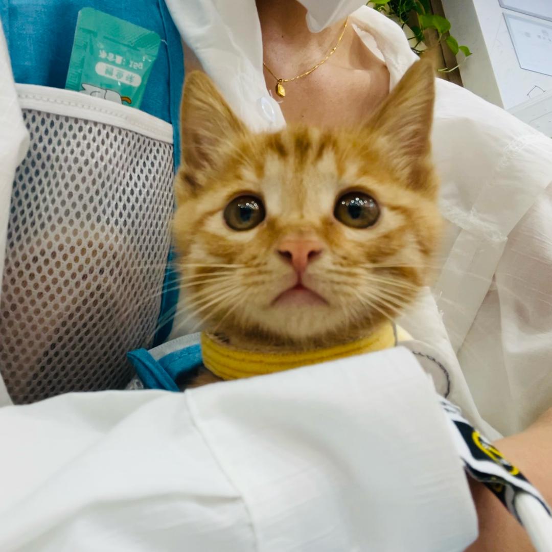 榴莲不能吃鸭～🤪🤪🤪