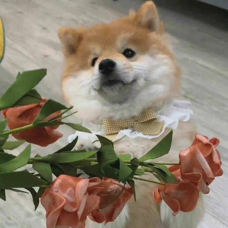 宵遥不逍遥