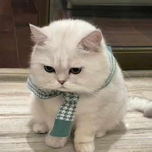 受气包