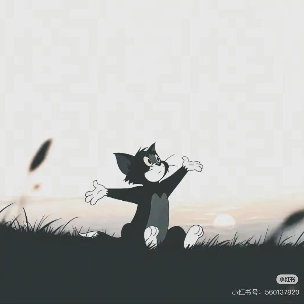 猫不易