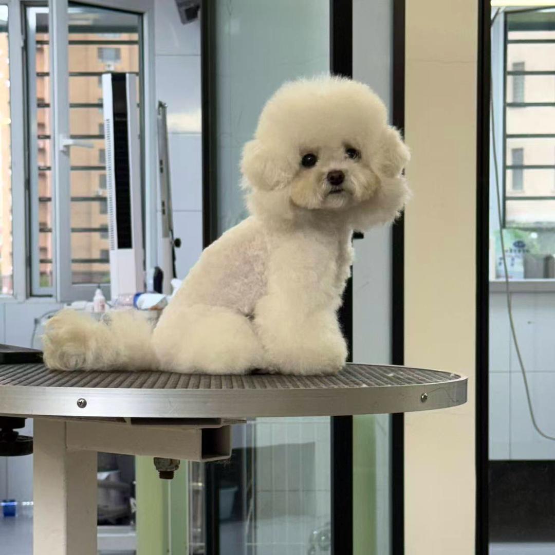 🌈我不是奥利奥