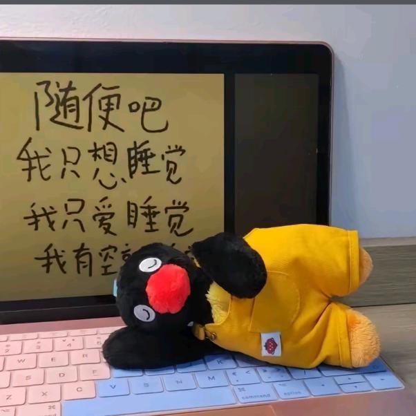 林黛玉倒拔垂杨柳