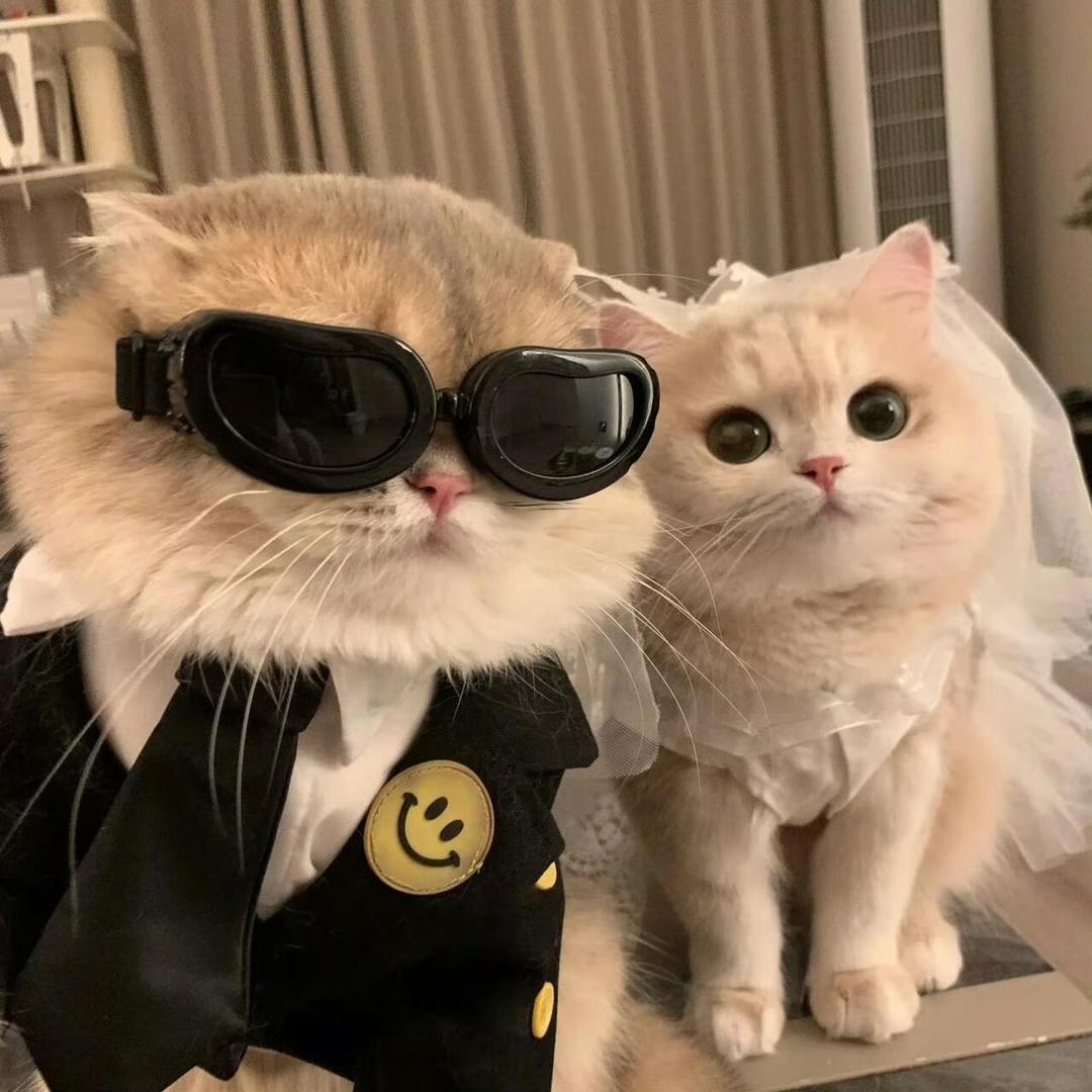 古希腊掌管财富的神