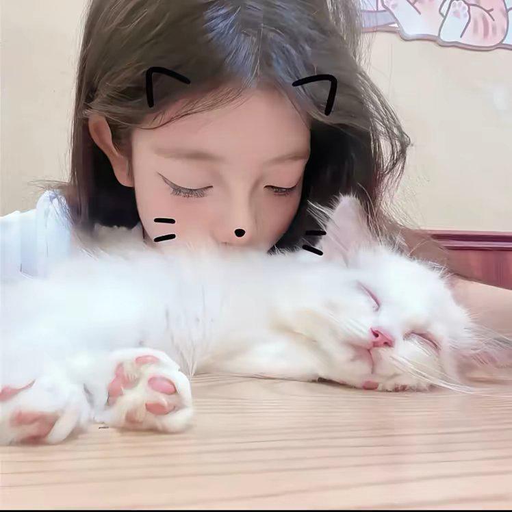 做只猫做只狗