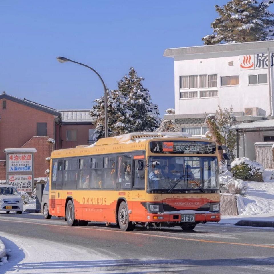 专注精品车批发的小景