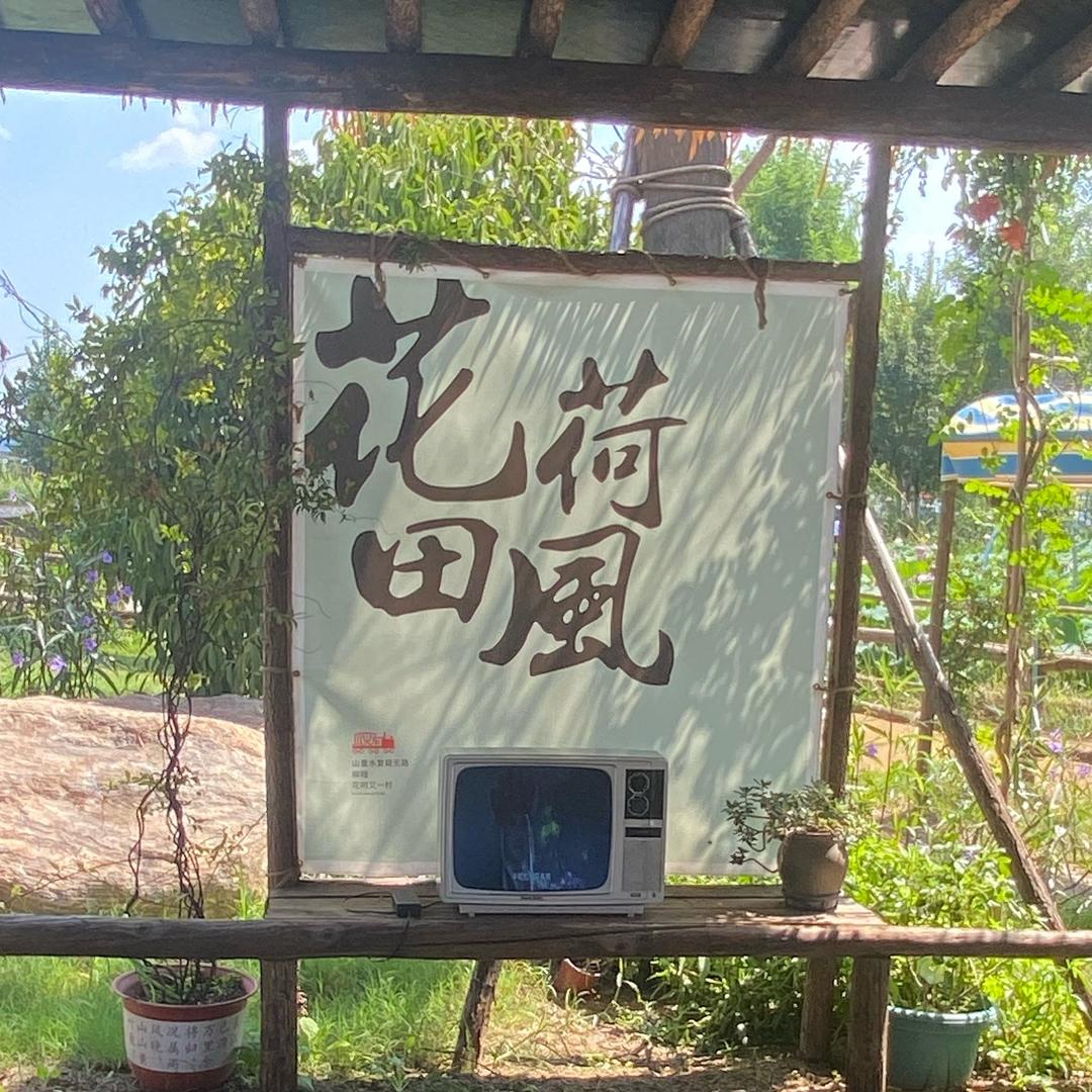 贝贝宝🦋