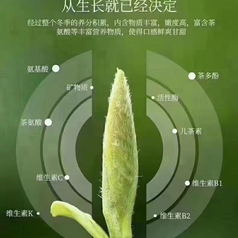 琼熙茶园