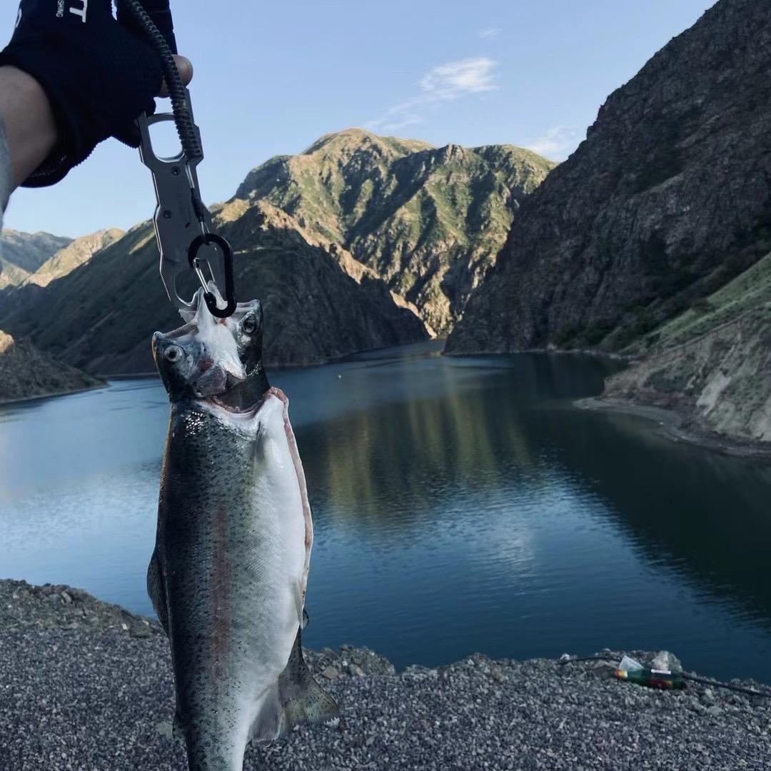 小小渔🎣