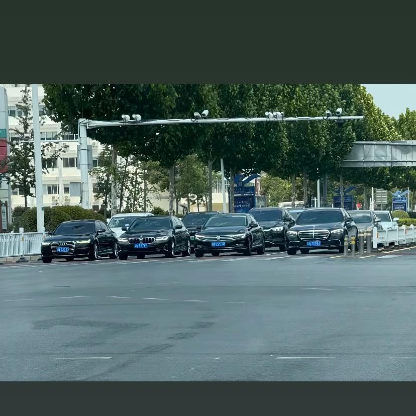 掌上明朱