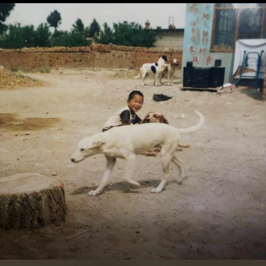 潘宏爱玩狗（美伊天祺）