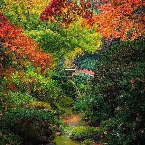 绛紫玄霜