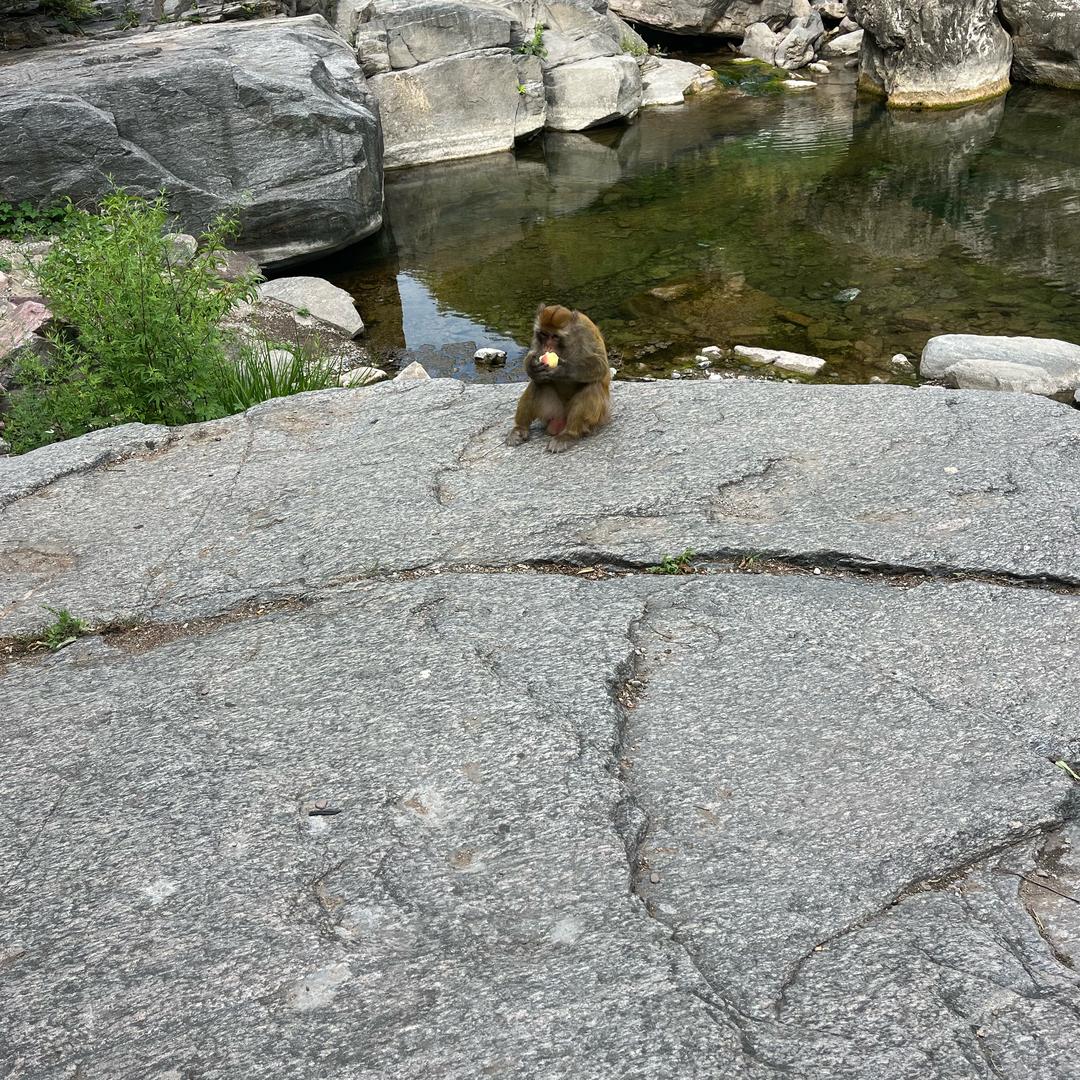 桥梁隧道外观缺陷修复，清水混凝土修饰