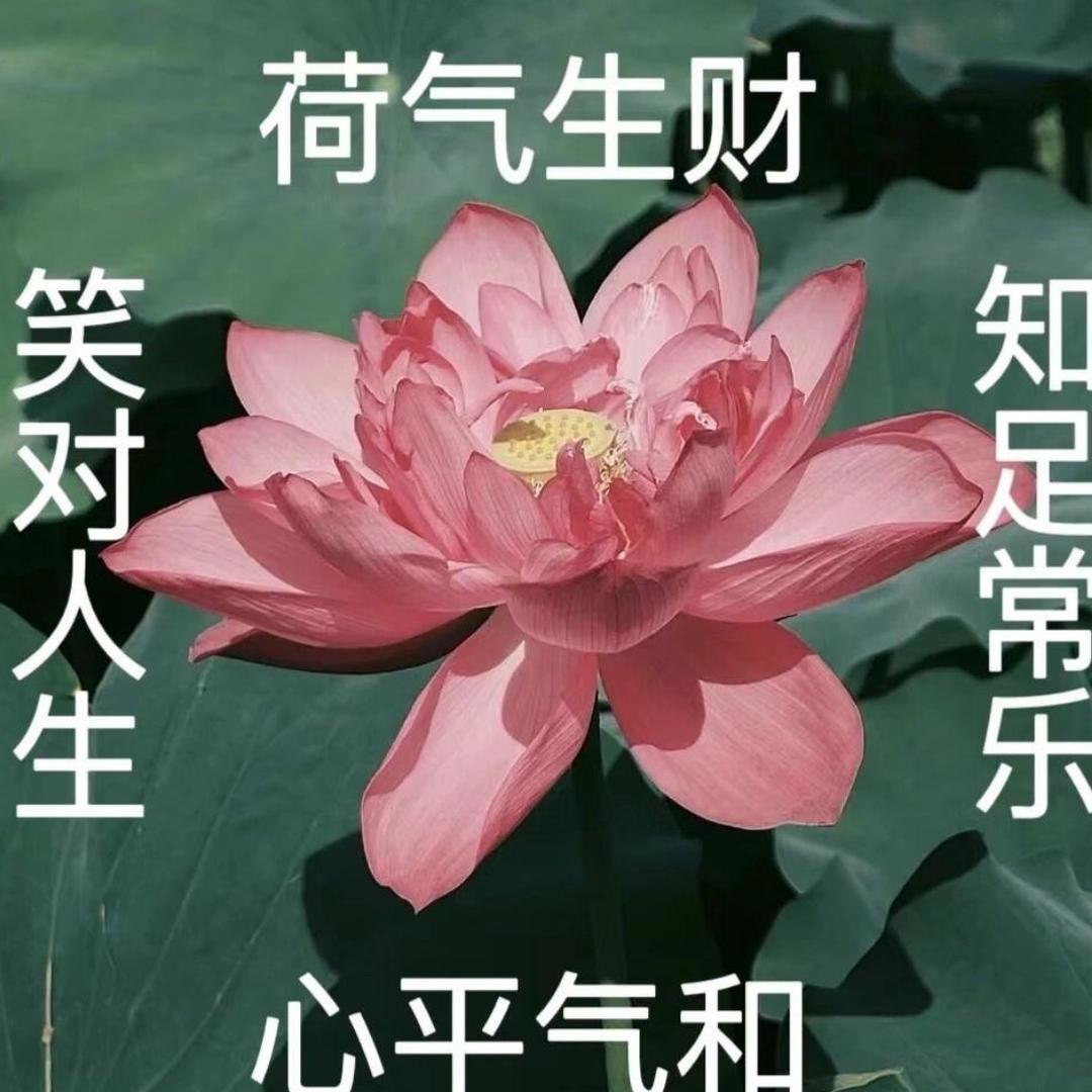 花开富贵001