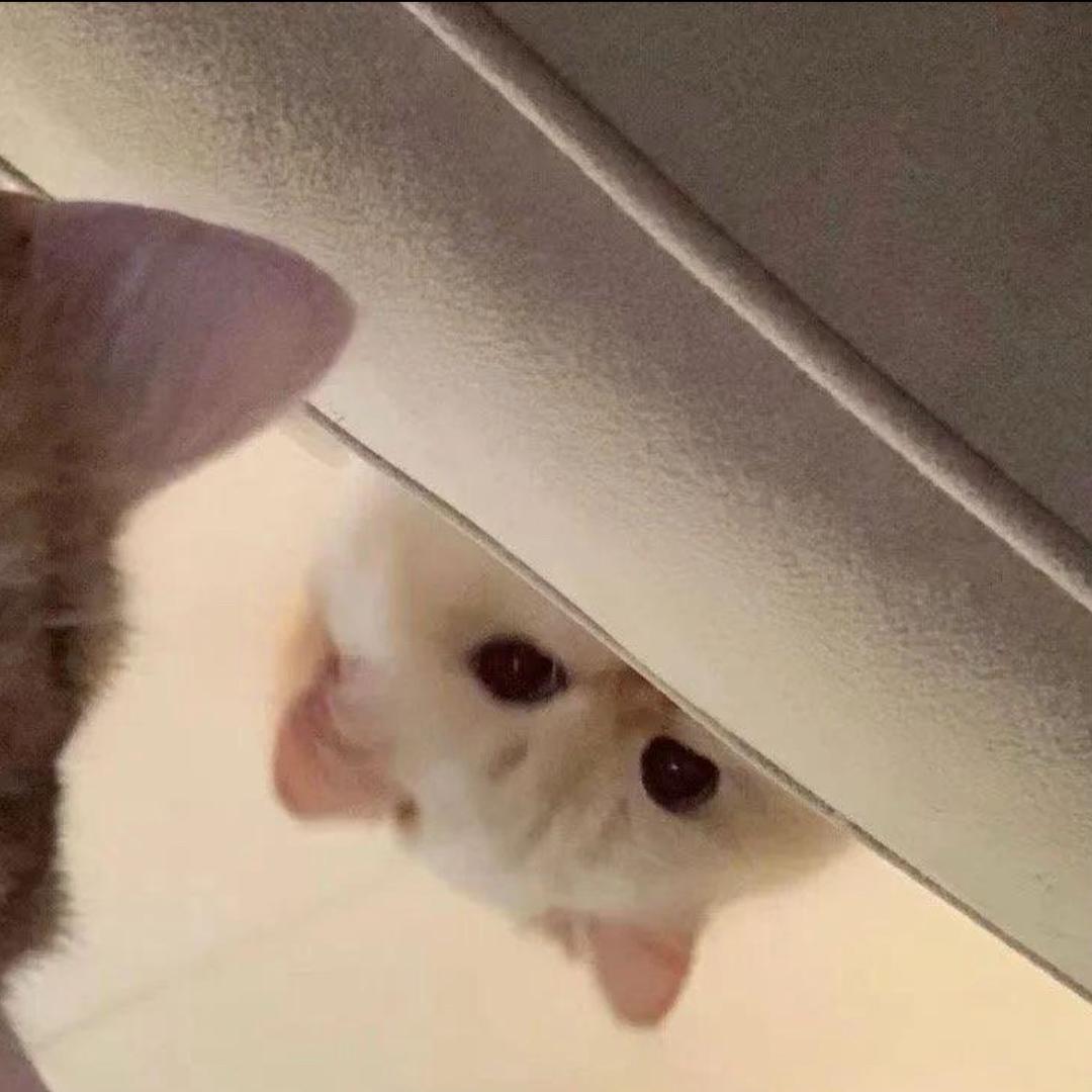 12311