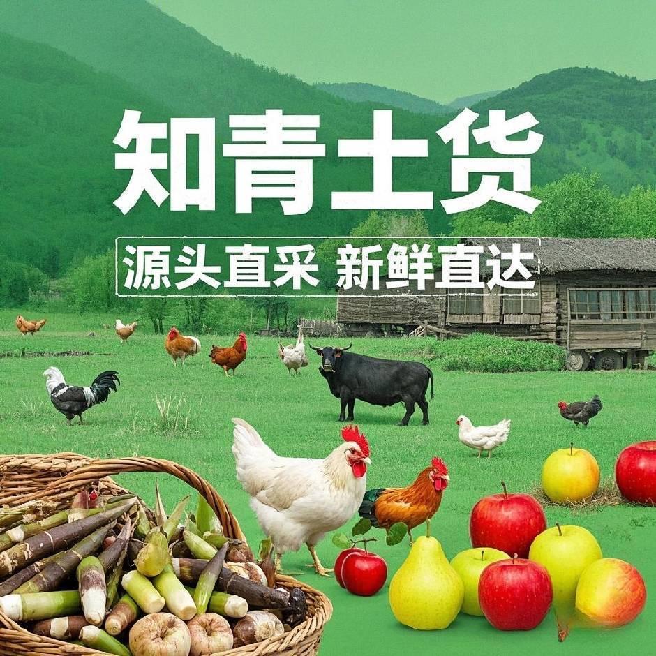 可爱泡泡