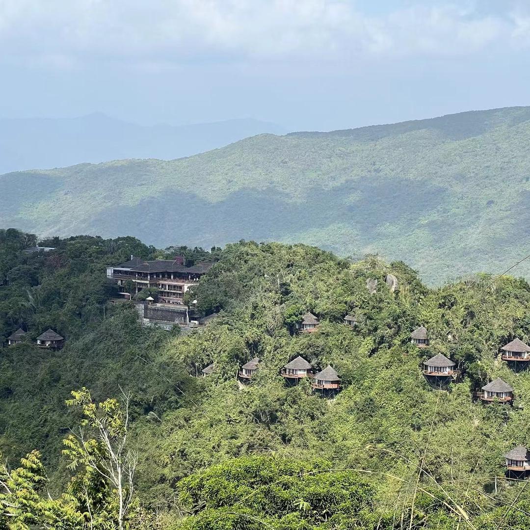 习惯孤独🧍‍♀️