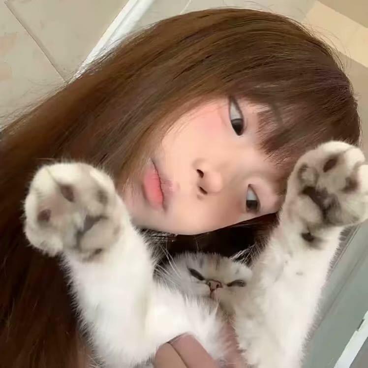 湖北商k(咨询预约)啵啵