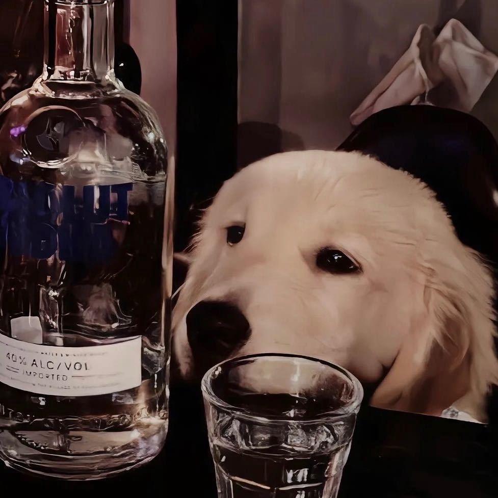 沈阳EX Play Mall营销上官云