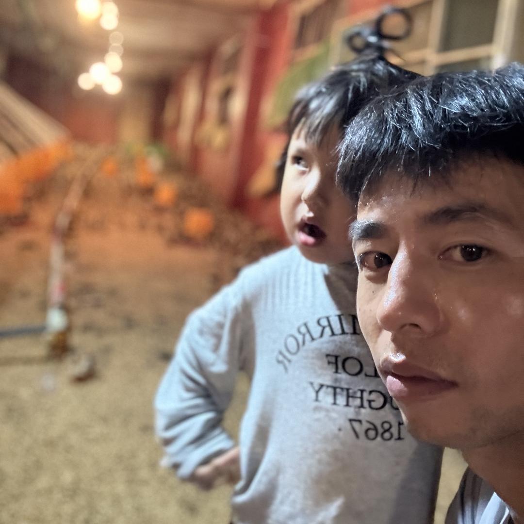 创业之我在老家养鸡