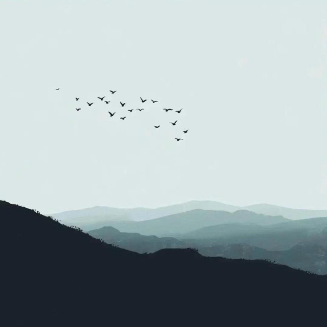 半个懒猫（自律版）