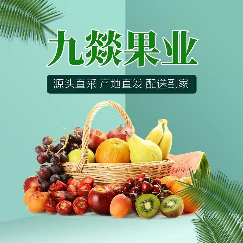 九燚果业鲜果蔬批发零售(红梅路店)