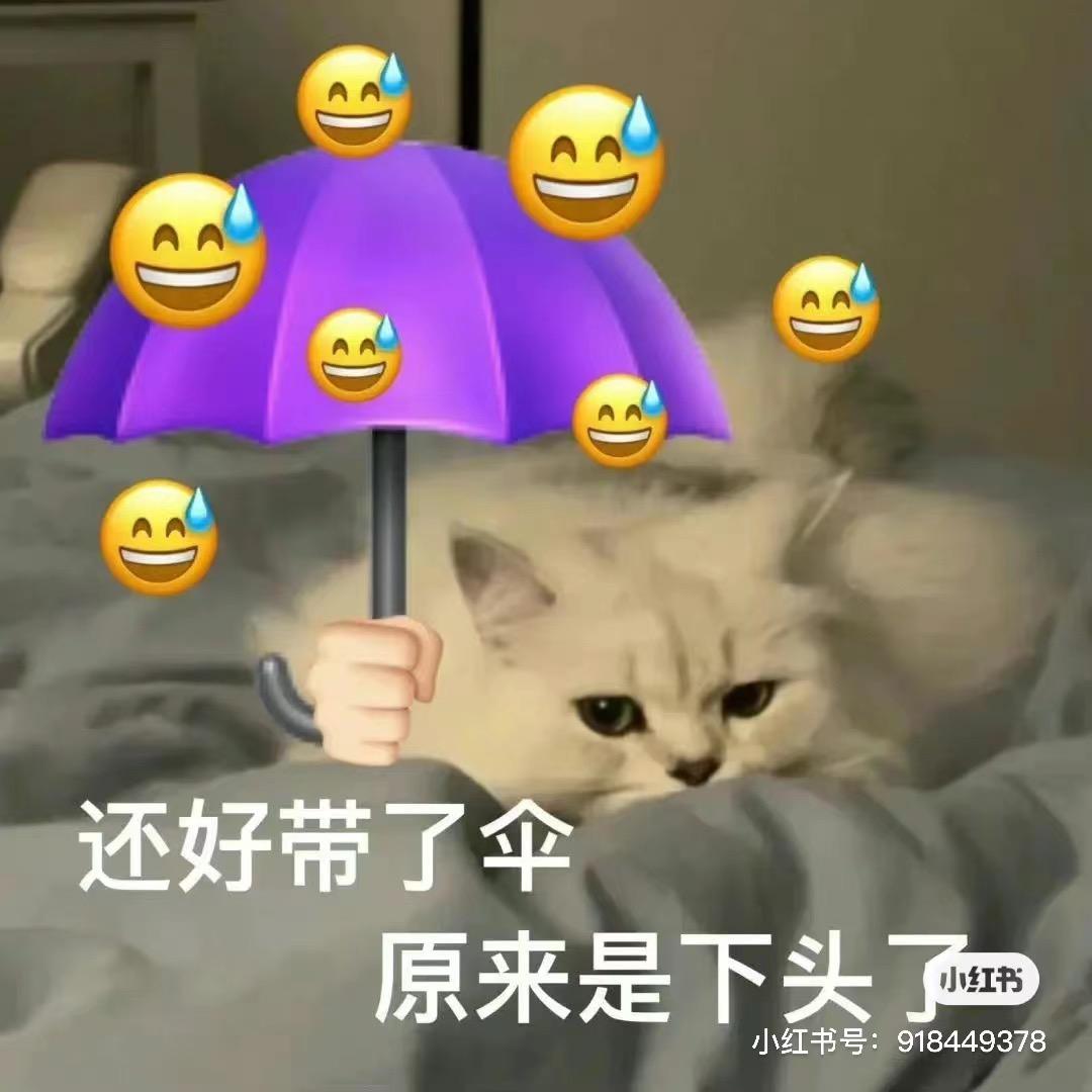 🐟跑跑