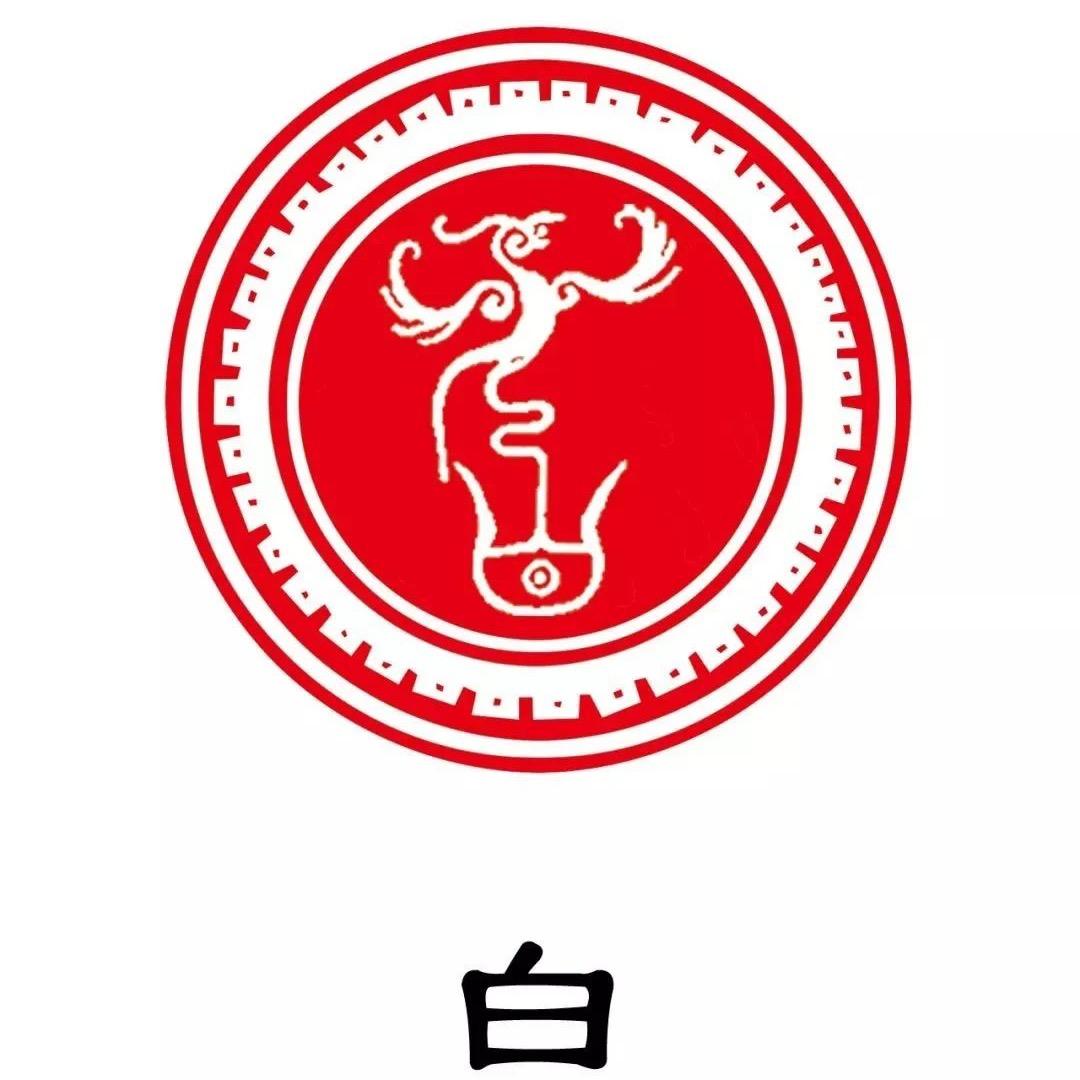 小白白