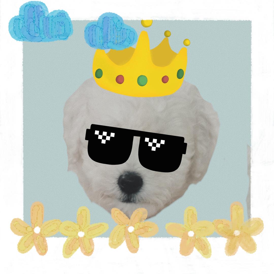 芋头头头头头头