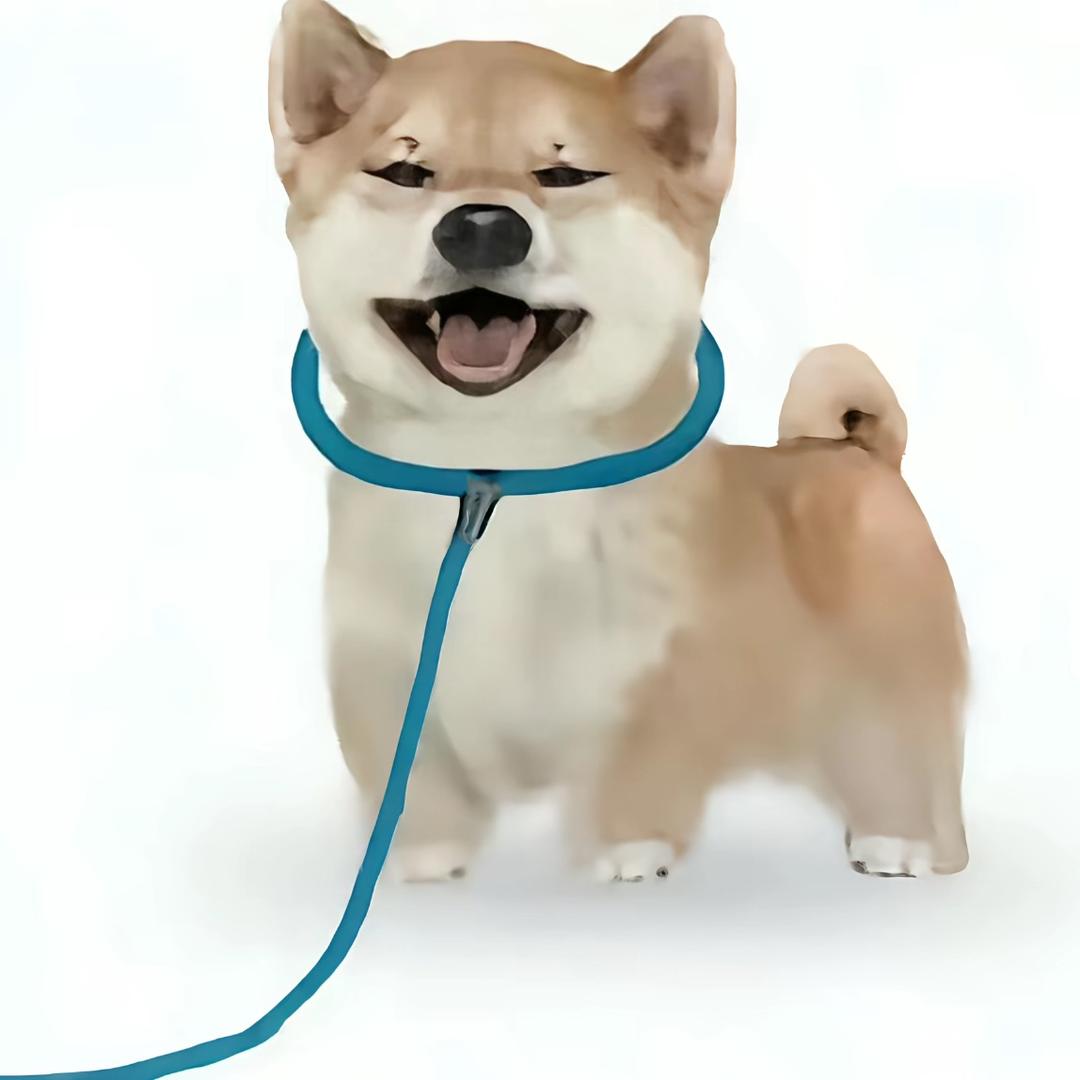 汤了个圆