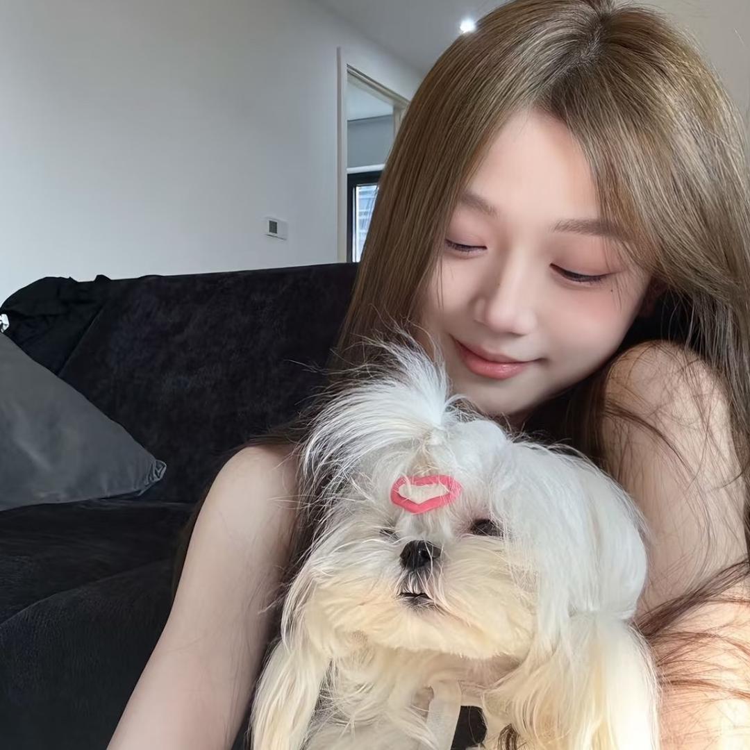 圆圆-