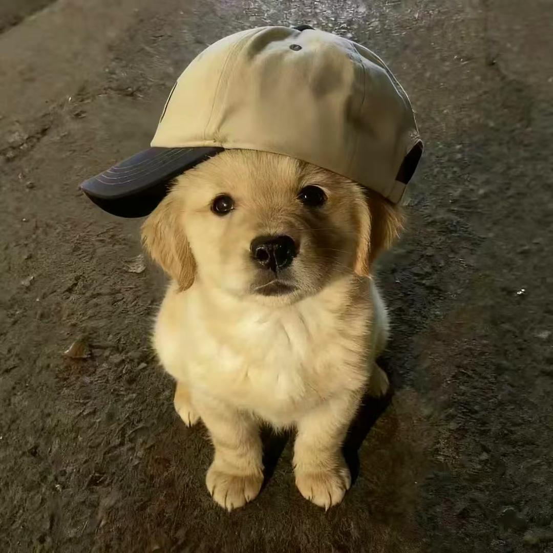 他们都叫我阿公