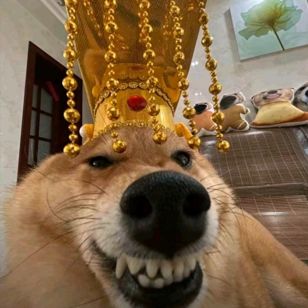我是皇上