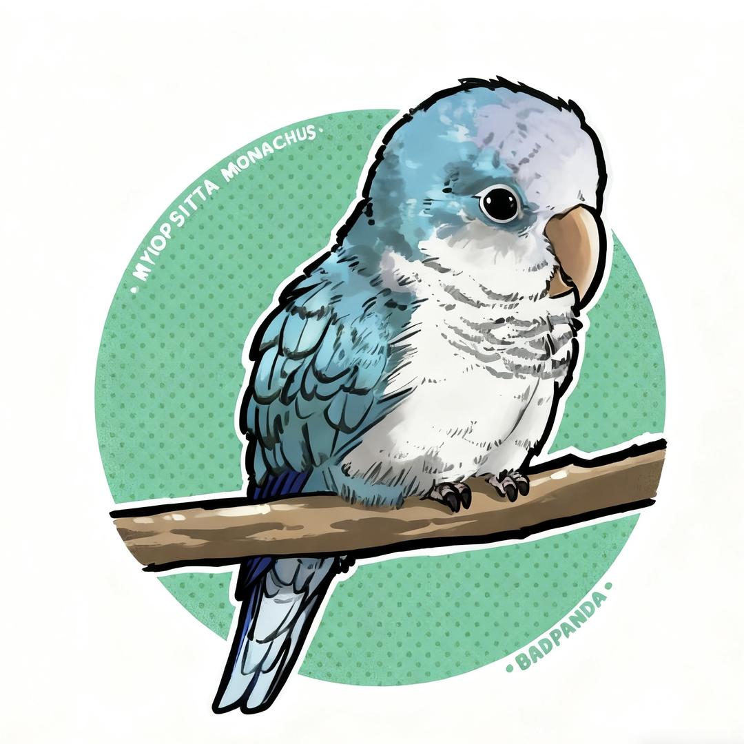 赵先生🦜