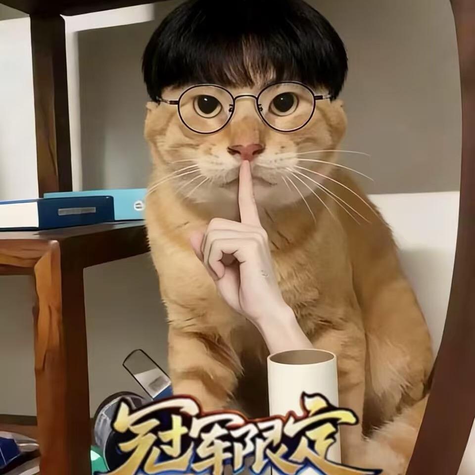 wwhisthemidgod（赢过大飞版