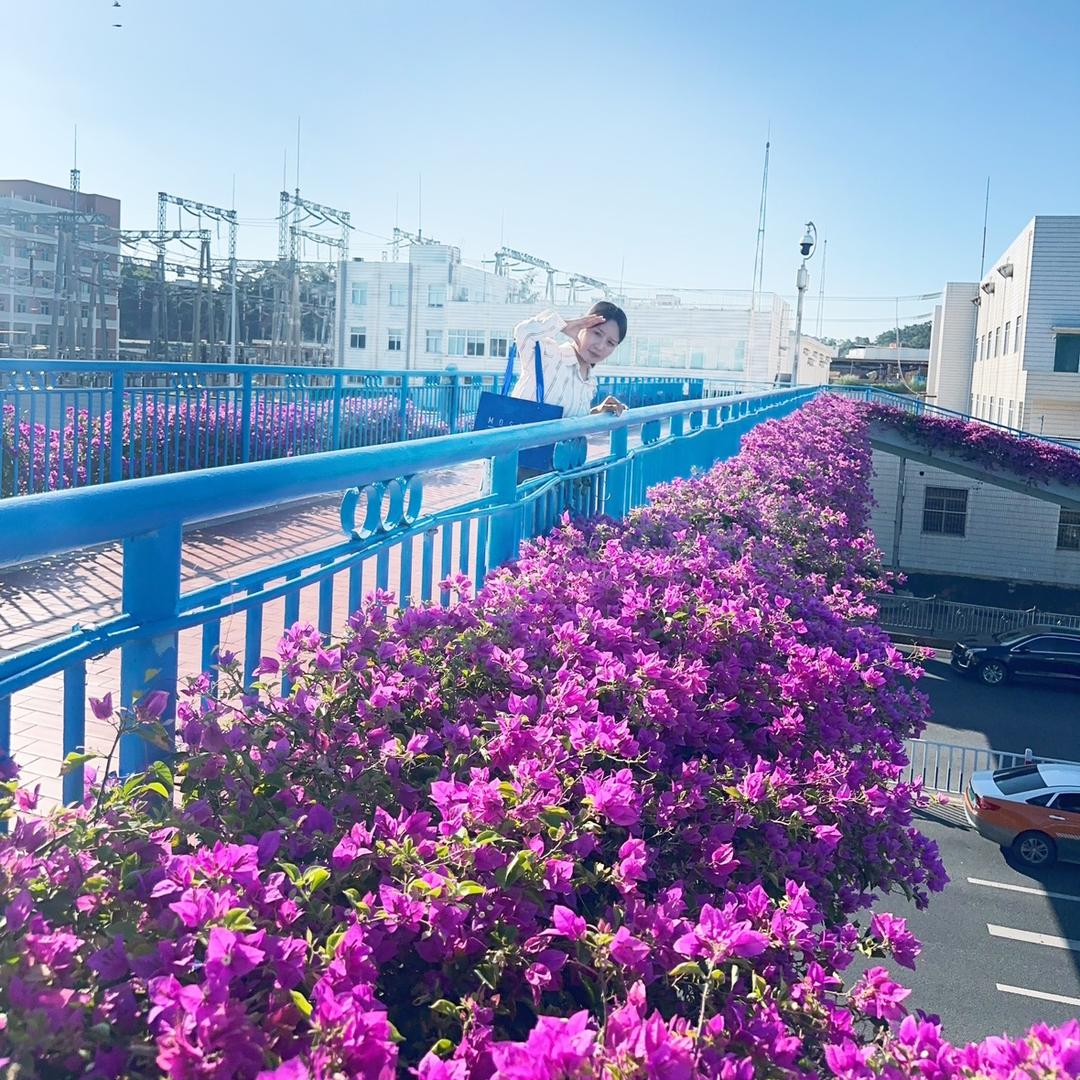 韩菲诗美肤馆（养马店）