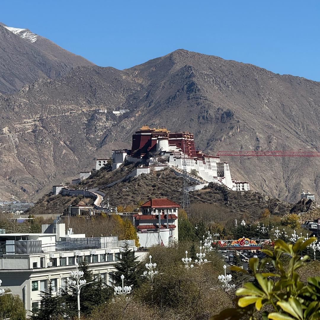 神的内衣🧝‍♀️